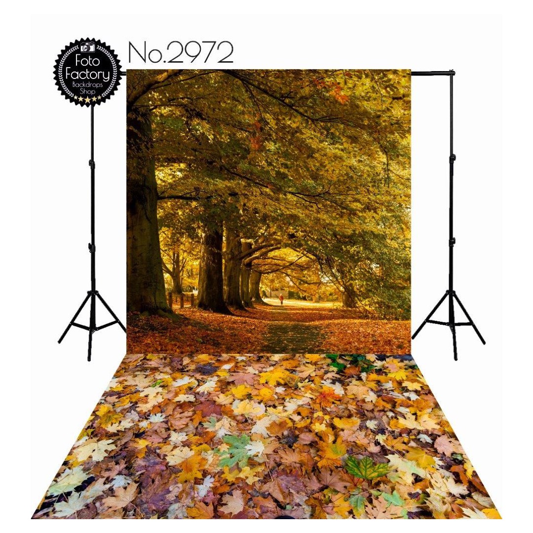 Backdrop 2972