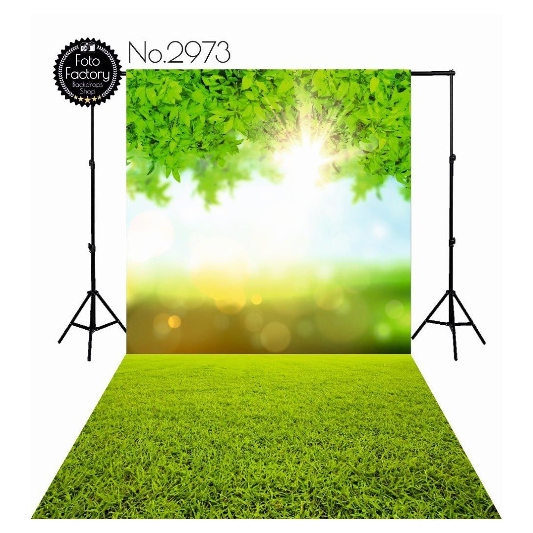 Backdrop 2973