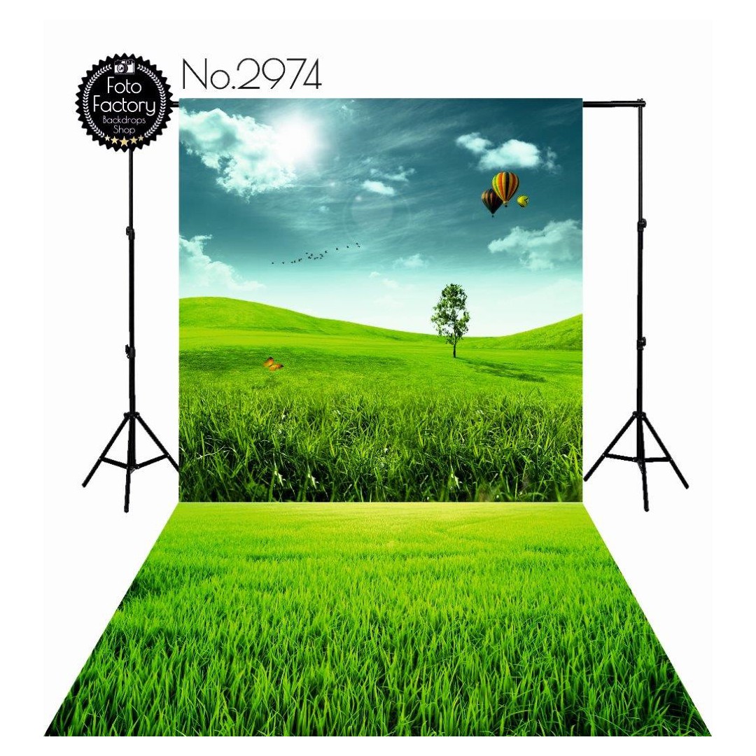 Backdrop 2974