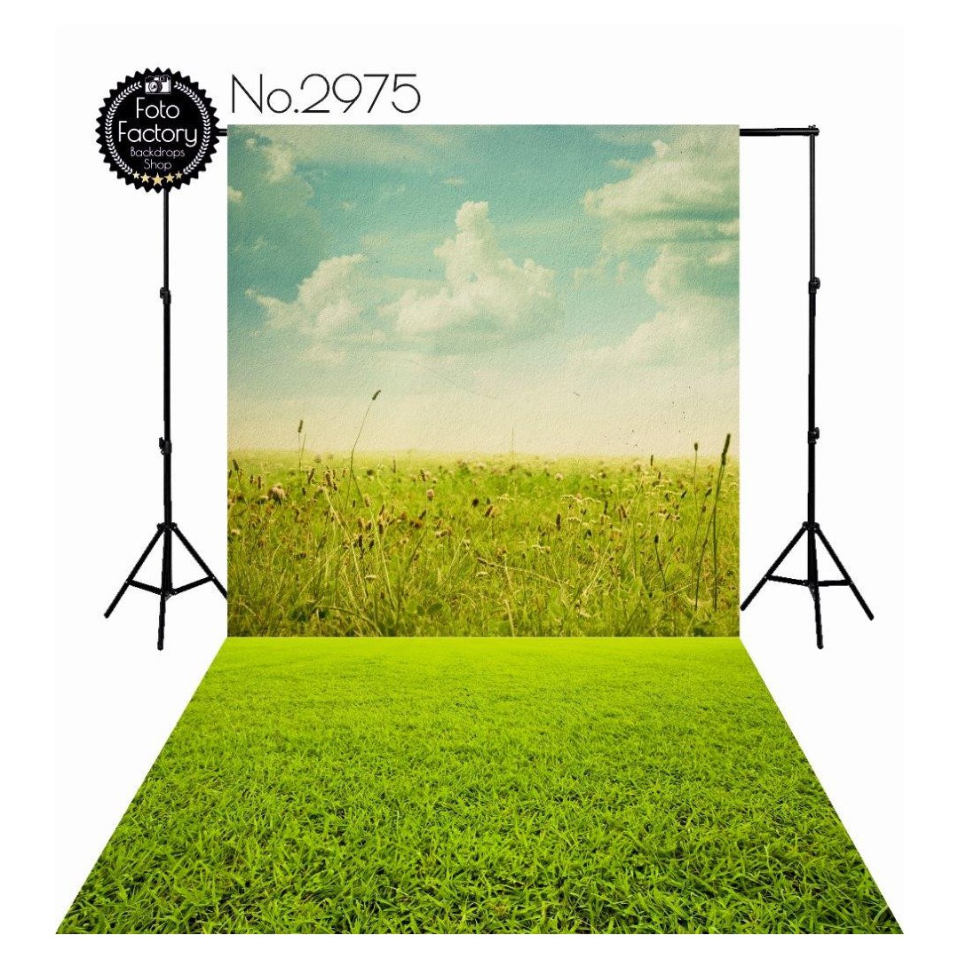 Backdrop 2975