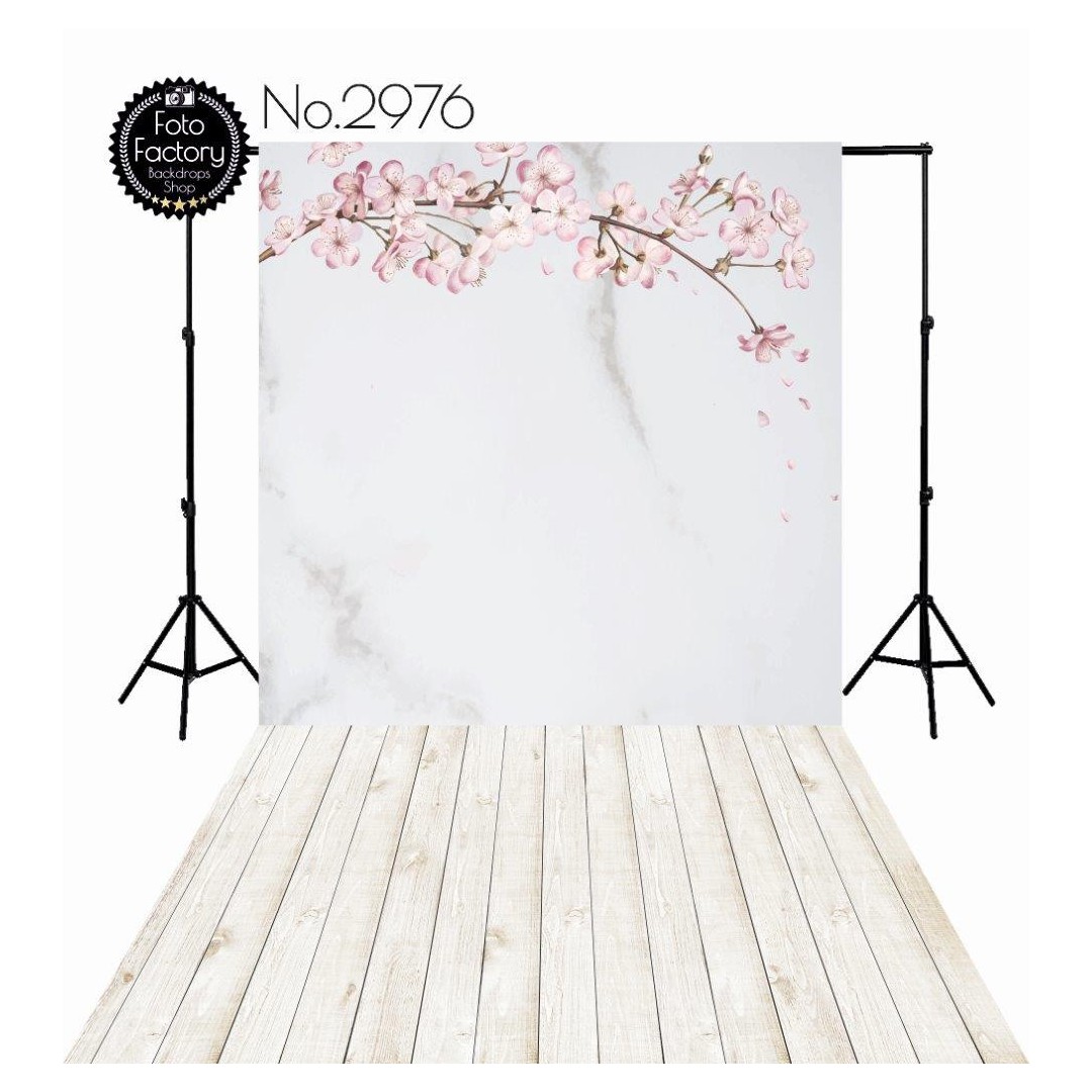 Backdrop 2976