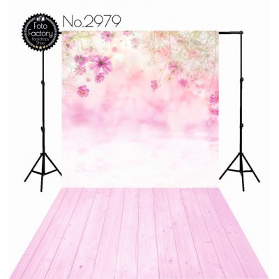 Backdrop 2979