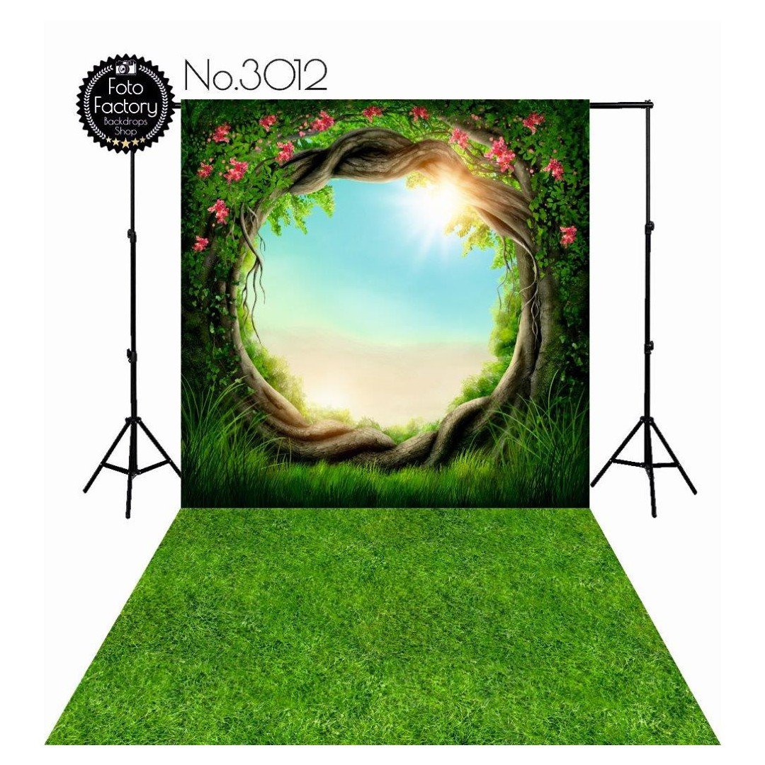 Backdrop 3012