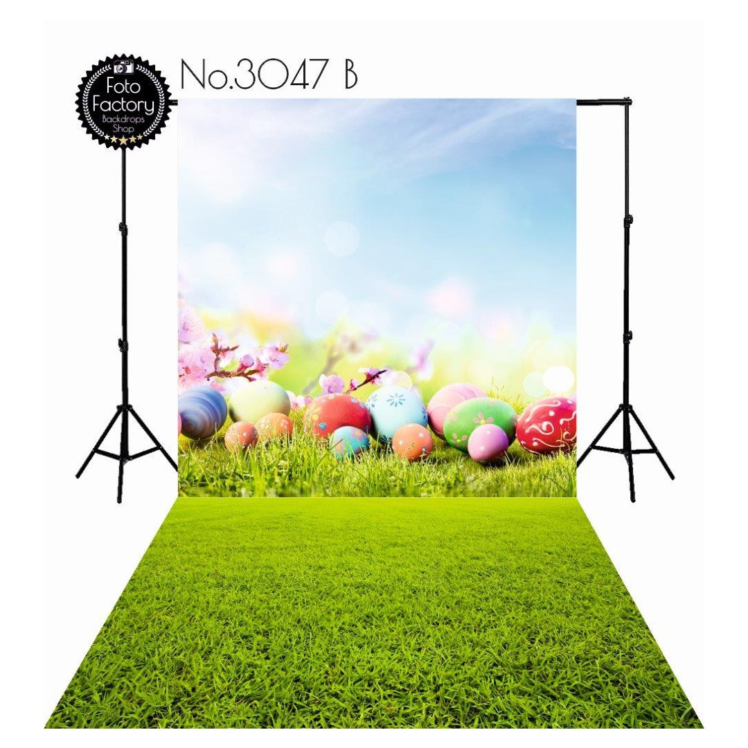 Backdrop 3047