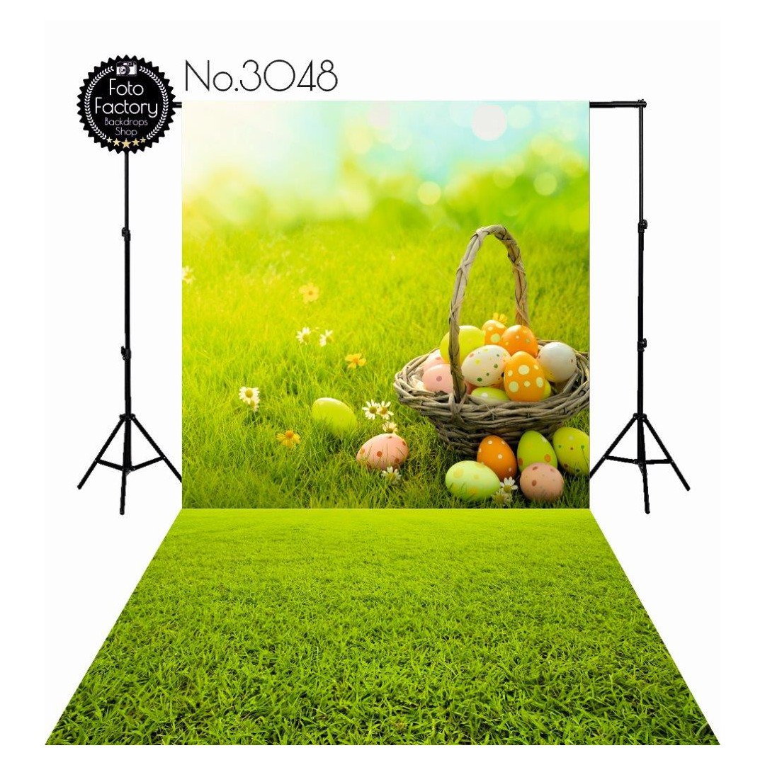 Backdrop 3048